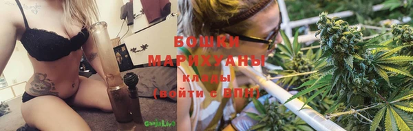 гидра Михайловск
