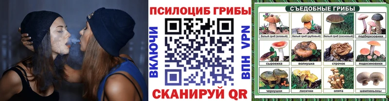 Псилоцибиновые грибы Psilocybine cubensis  Купить закладки  Юрьевец 